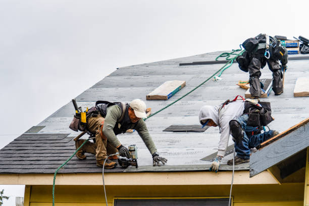 Professional Roofing technician working in Agency, MO